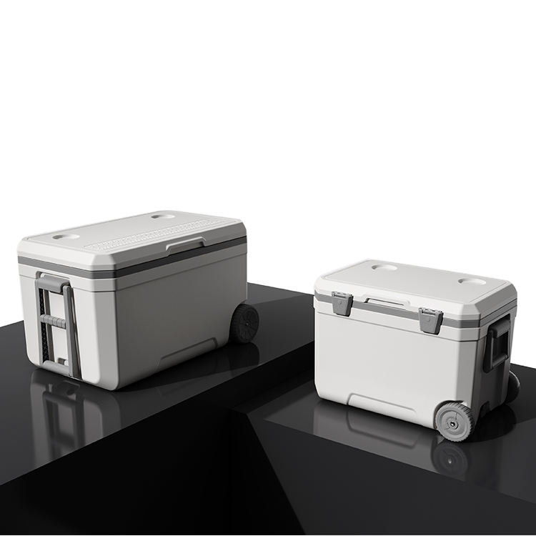 새로운 디자인의 야외용 단열 70L 대용량 보온 하드박 - Wine Beer Food 리뷰 및 가격